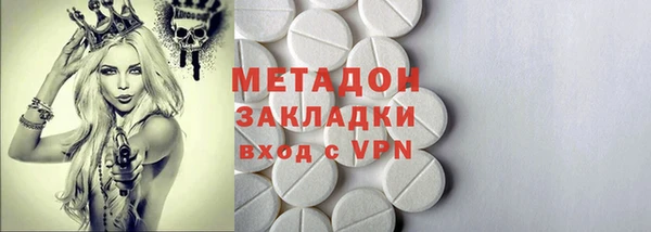 хмурый Аркадак